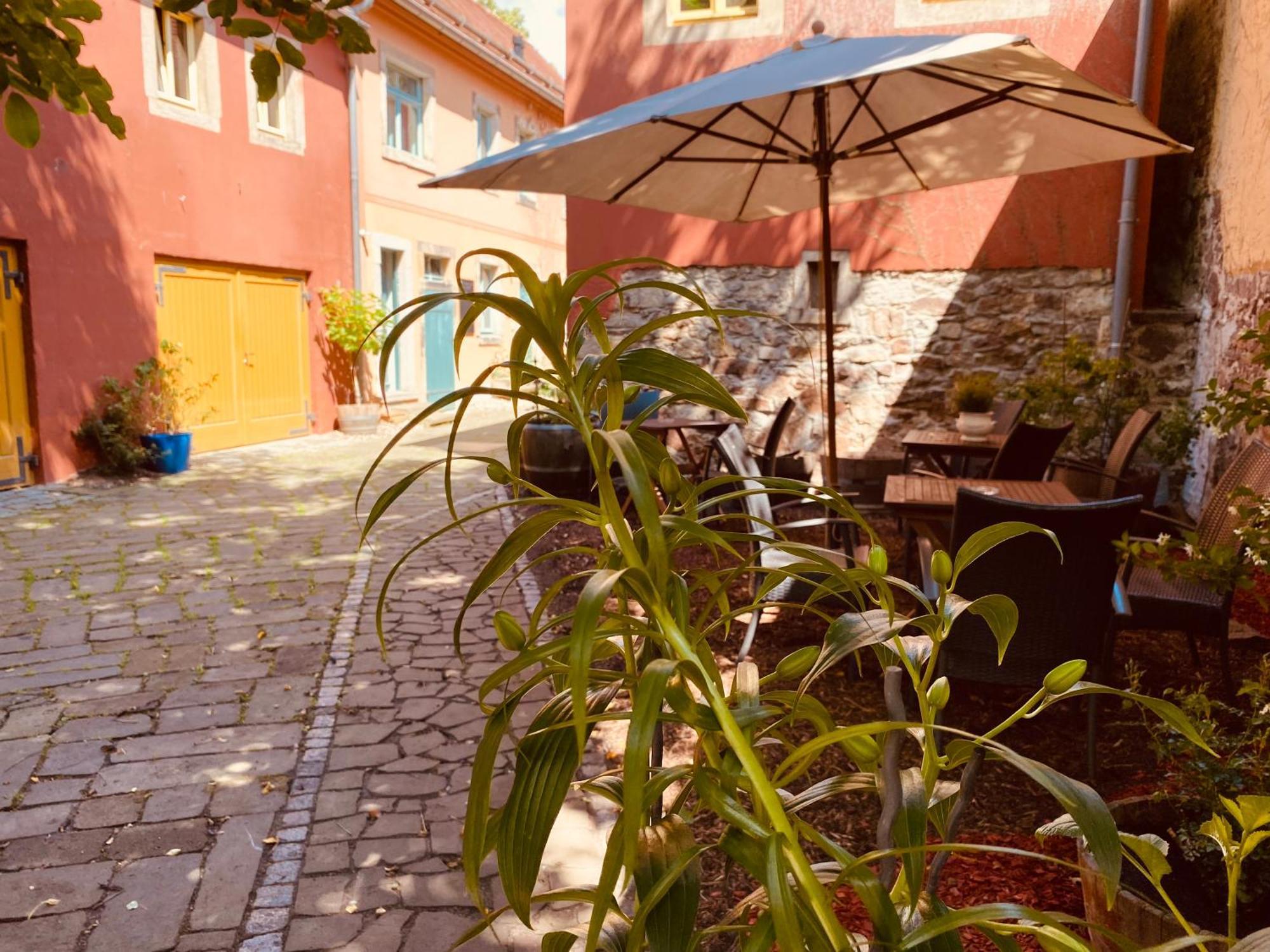 Urlaubshof Altkoe Apartment Radebeul Luaran gambar